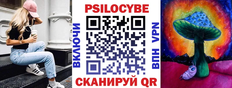 Купить закладки  Купино  Галлюциногенные грибы MAGIC MUSHROOMS 
